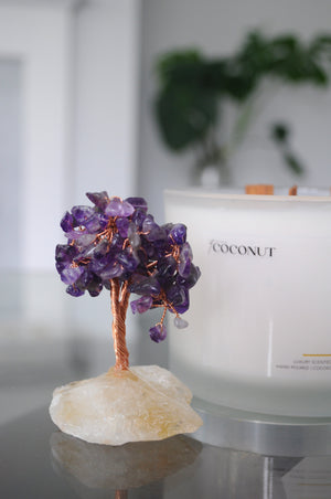 Medium Amethyst Tree
